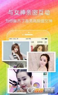 mm成人直播APP,揭秘虚拟互动新体验